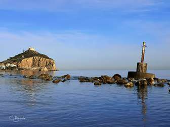 Exposicin guilas desde el Mvil