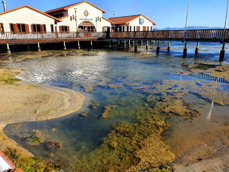 Exposicin una Firma por el Mar Menor: Fotografiando Procesos