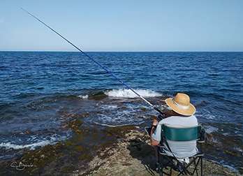 Exposicin guilas desde el Mvil