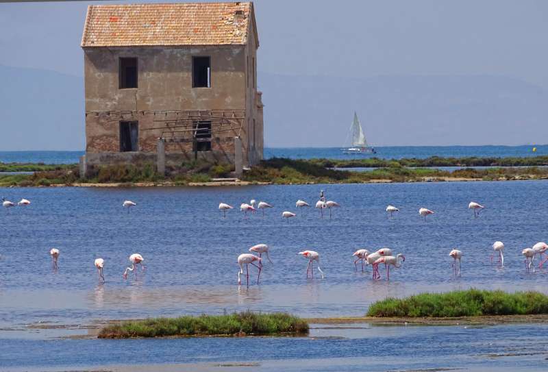 Exposicin una Firma por el Mar Menor: Fotografiando Procesos