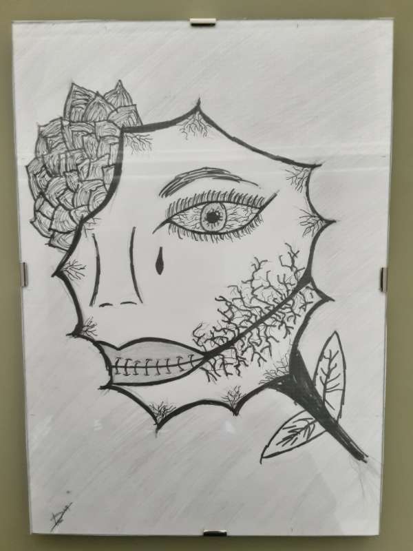 Exposición Arte Conceptual 