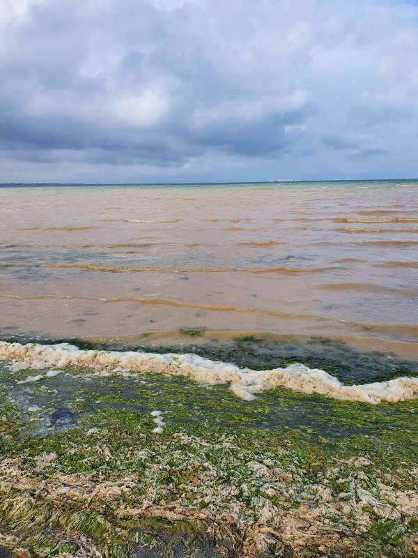 Exposicin una Firma por el Mar Menor: Fotografiando Procesos