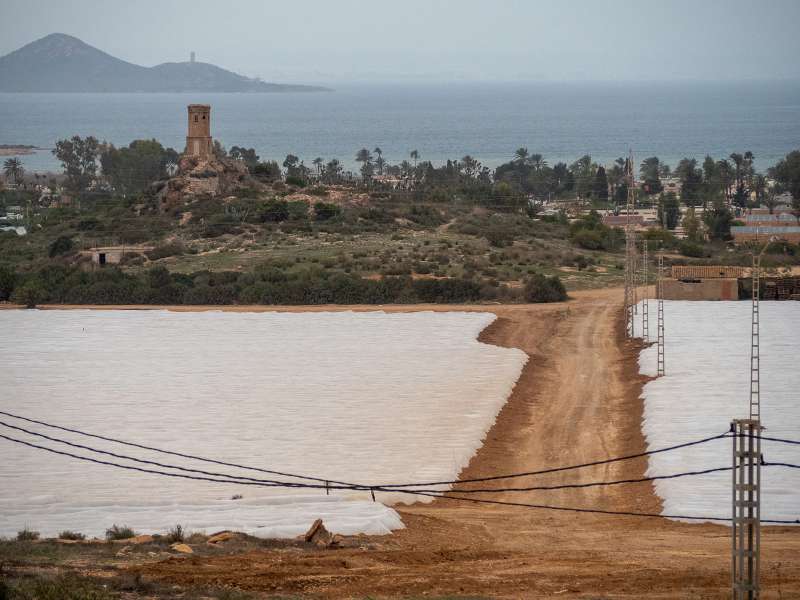 Exposicin una Firma por el Mar Menor: Fotografiando Procesos