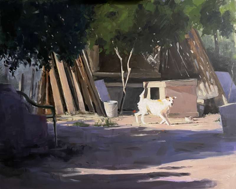 Exposición Momentos