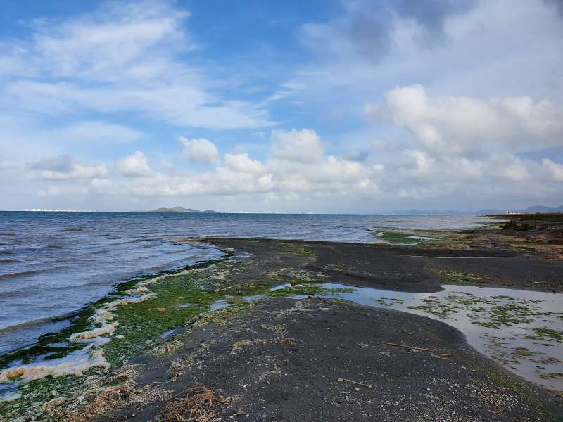 Exposicin una Firma por el Mar Menor: Fotografiando Procesos