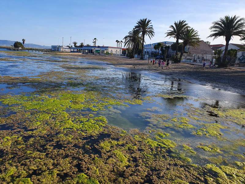 Exposicin una Firma por el Mar Menor: Fotografiando Procesos