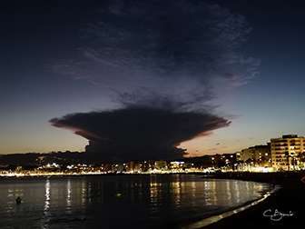 Exposicin guilas desde el Mvil