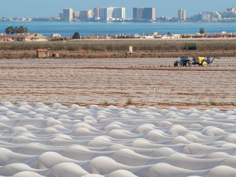 Exposicin una Firma por el Mar Menor: Fotografiando Procesos