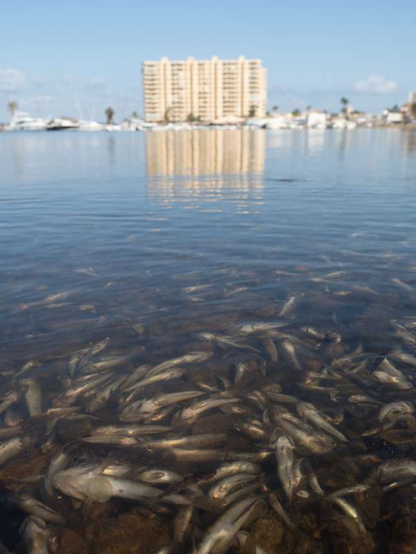 Exposicin una Firma por el Mar Menor: Fotografiando Procesos