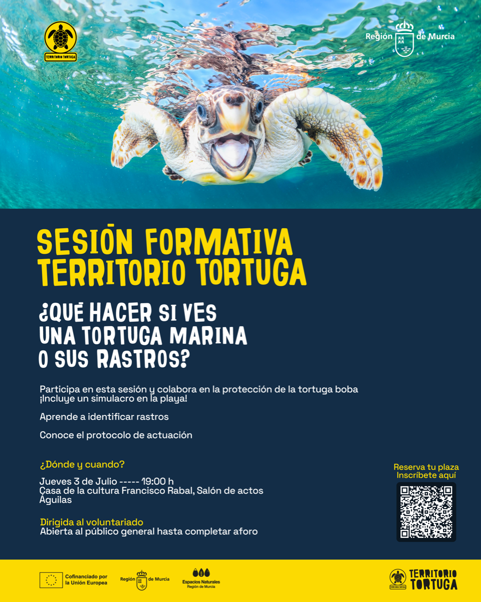 Sesin informativa, territorio tortuga
